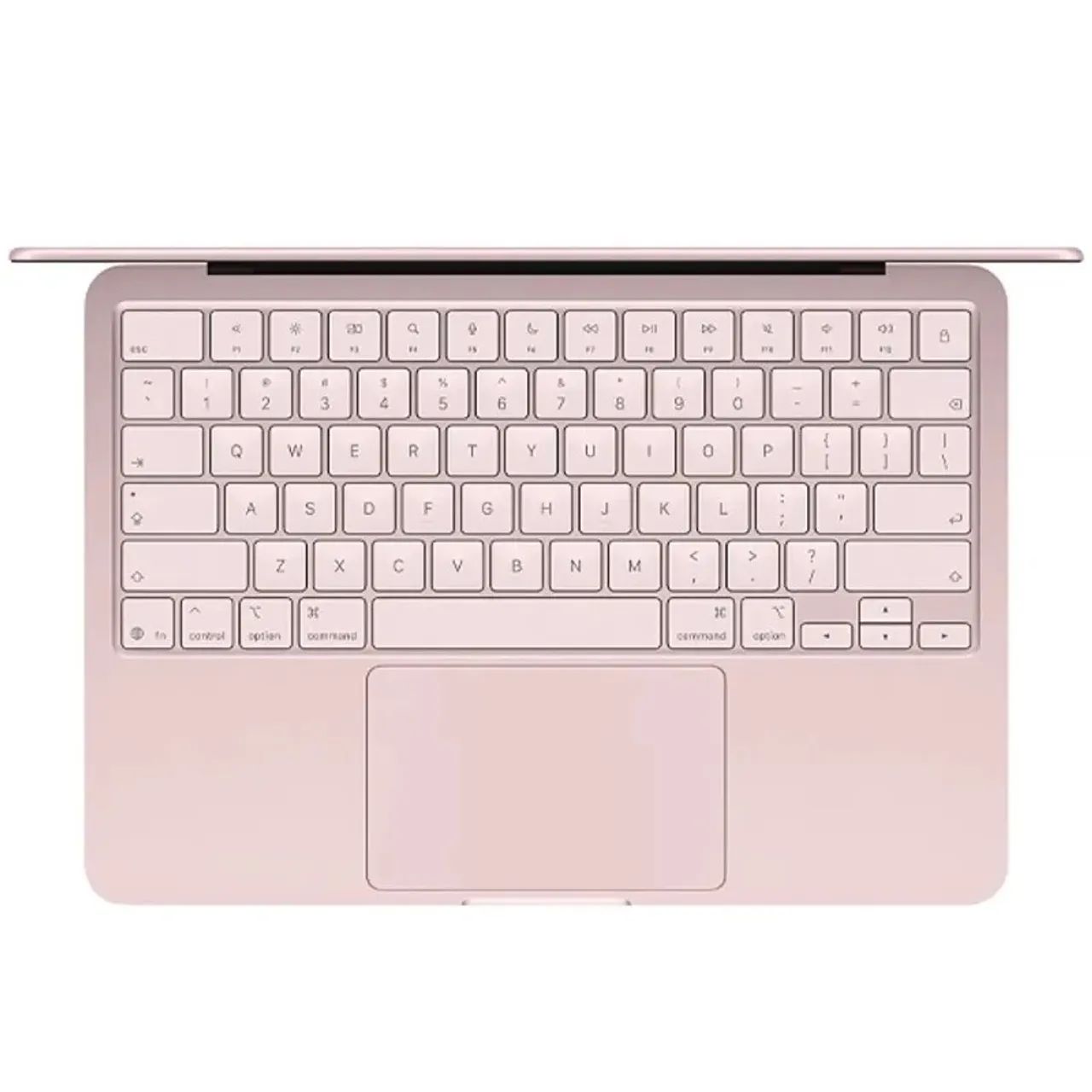 MacBook Neo Rosa 8GB/256GB