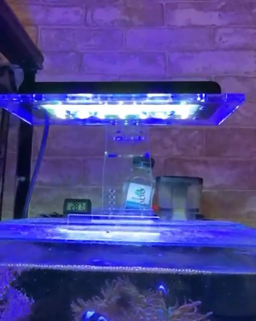 Aquario nano completo - Foto 3