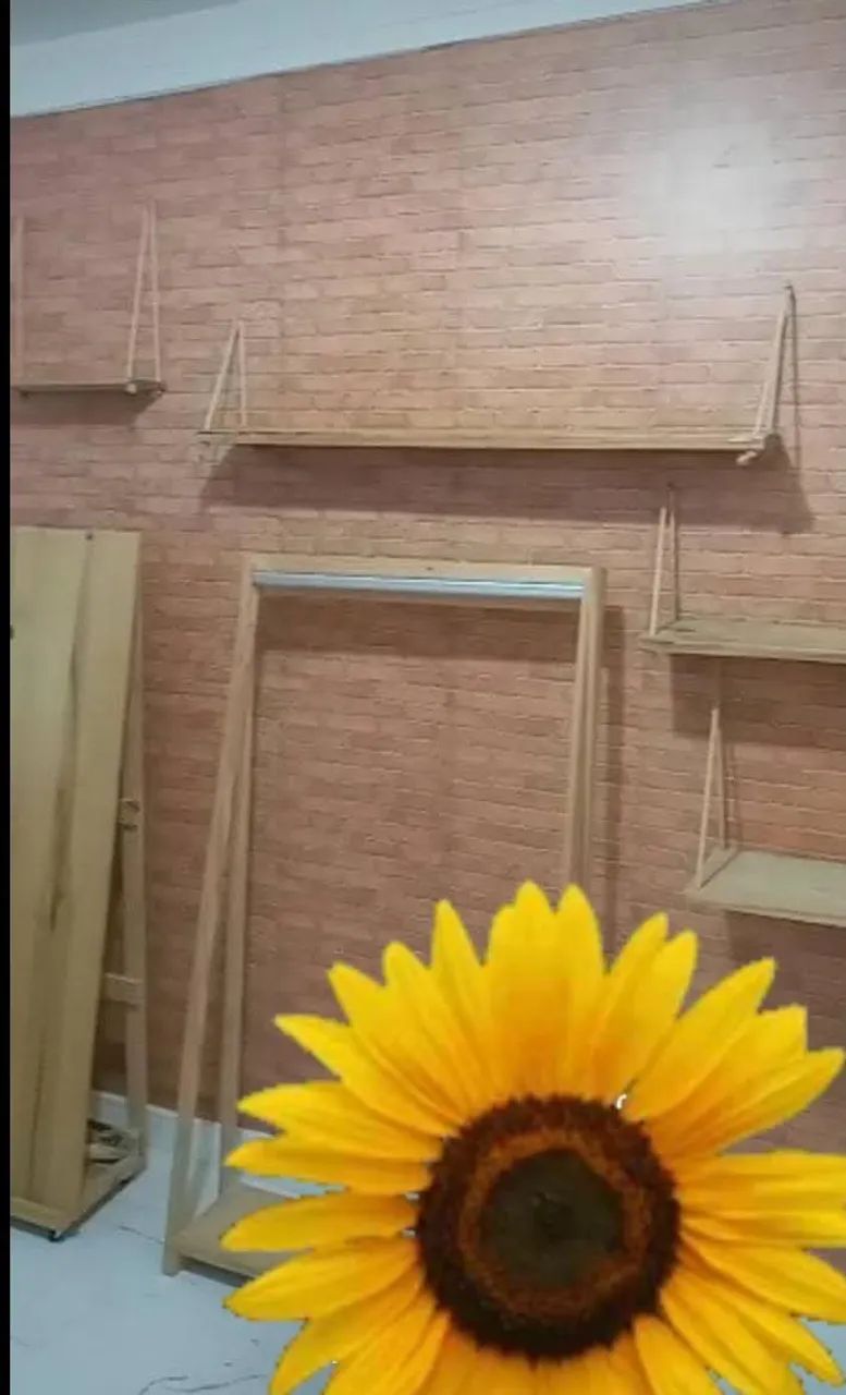 Vendo Arara/Closet aberto com prateleiras e Cabideiro em madeira 