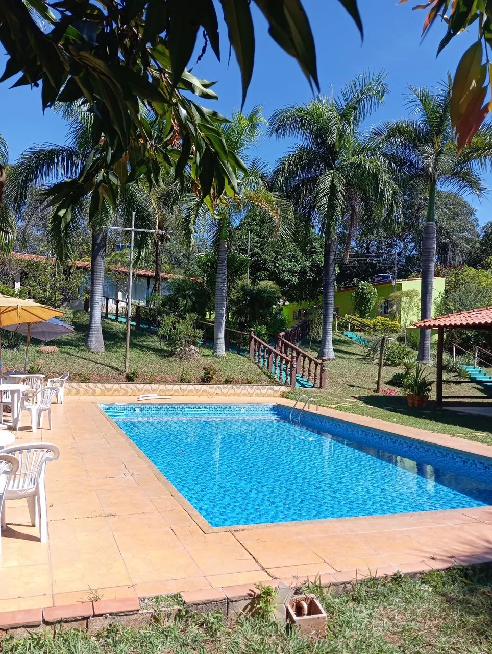 Alugo para o Natal, chama no zap - Foto 4