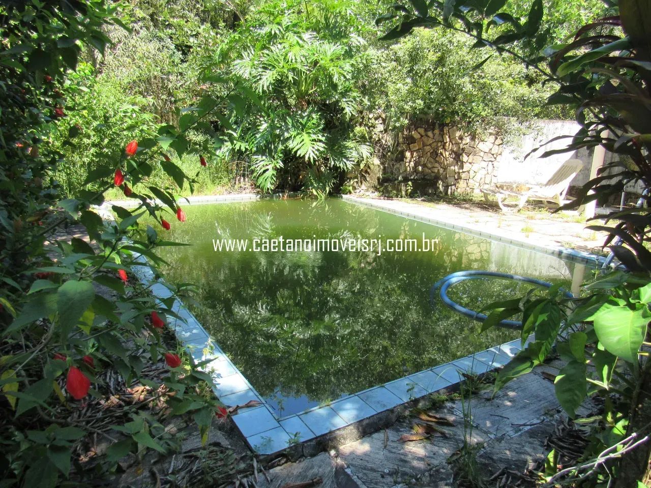 Sítio C/ Localização Nobre - Oportunidade - Foto 4