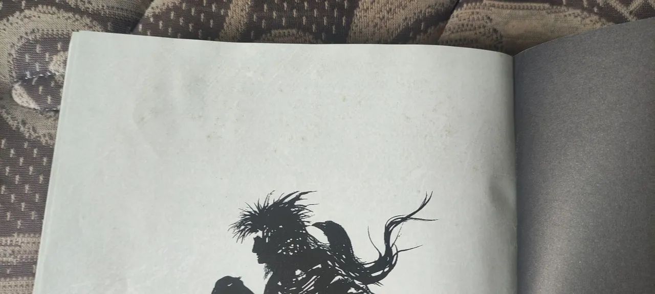Sandman Volumes 1, 2, 3 e 5 - Foto 4