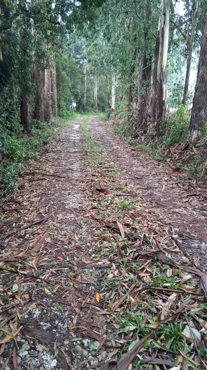Chacara terreno area de terra colonia sao carlos lapa - Foto 2