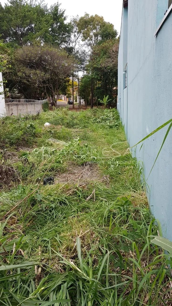terreno - Cidade Universitária - Campinas