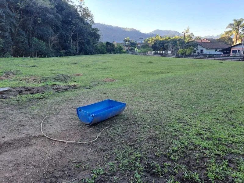 Terreno BENEDITO NOVO - SC - Foto 5