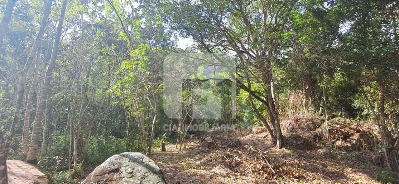 Terreno à venda no Ratones - Foto 5