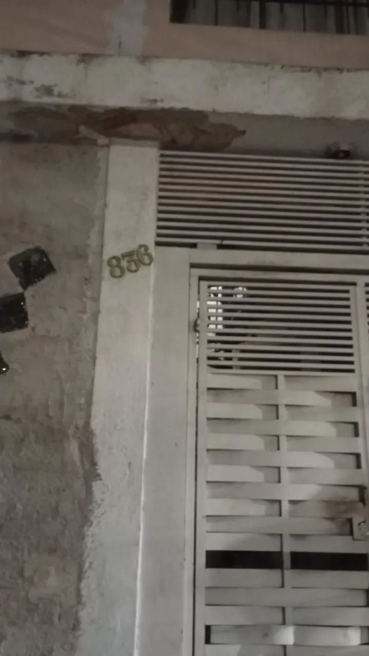 Foto - São Paulo - Jardim Maracanã