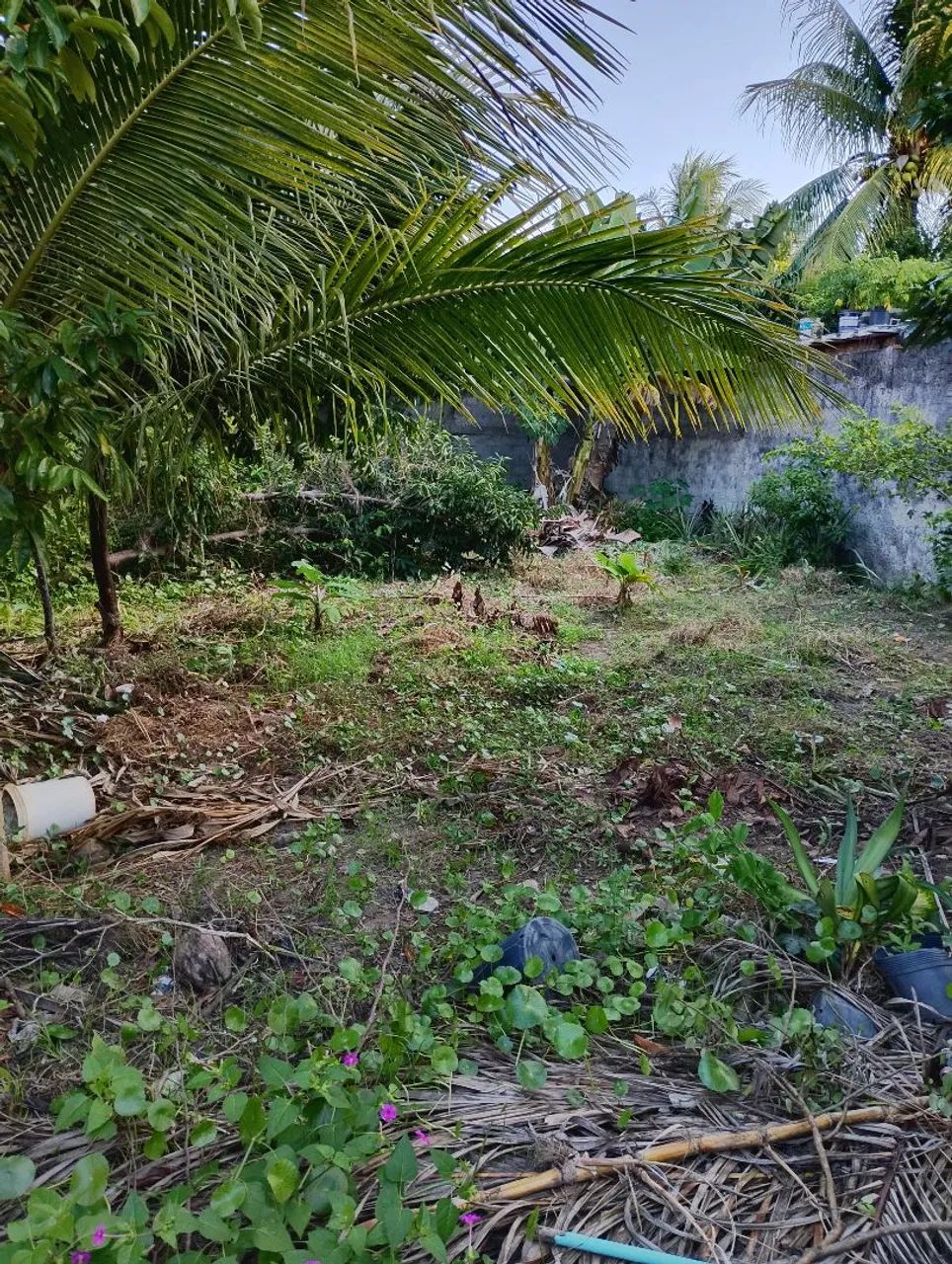 Terreno em Vila de Abrantes  - Foto 4