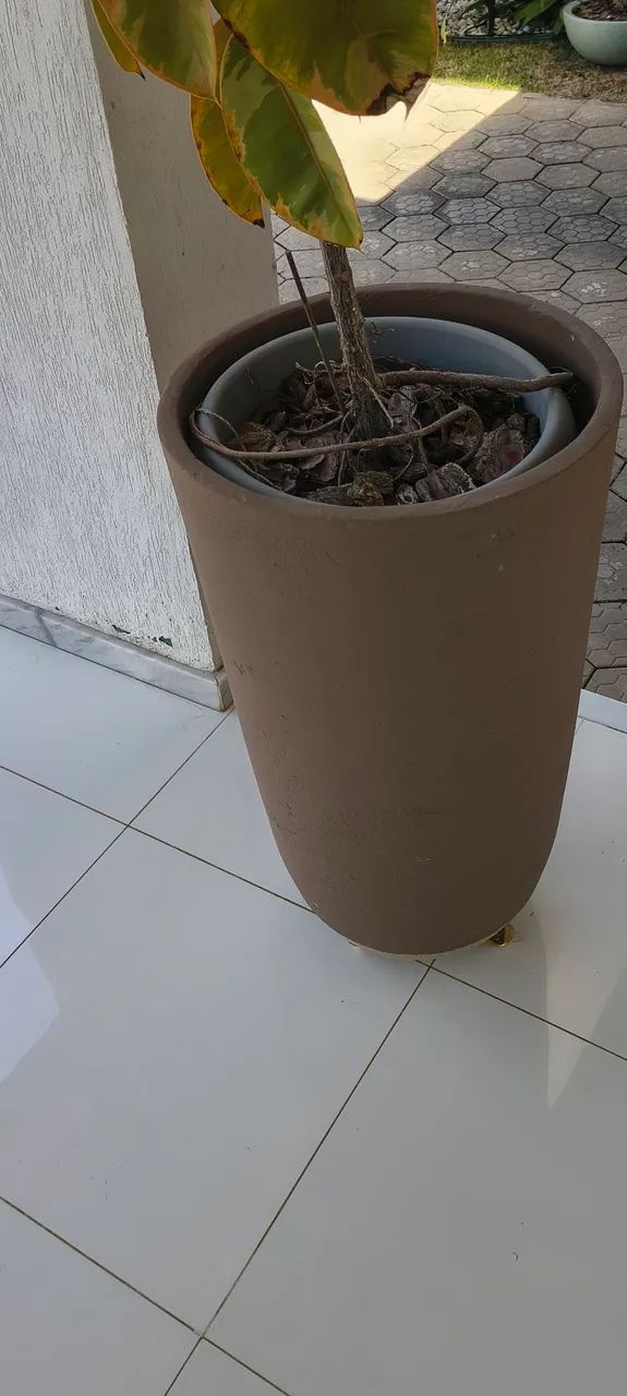 Caqueiro - Foto 4