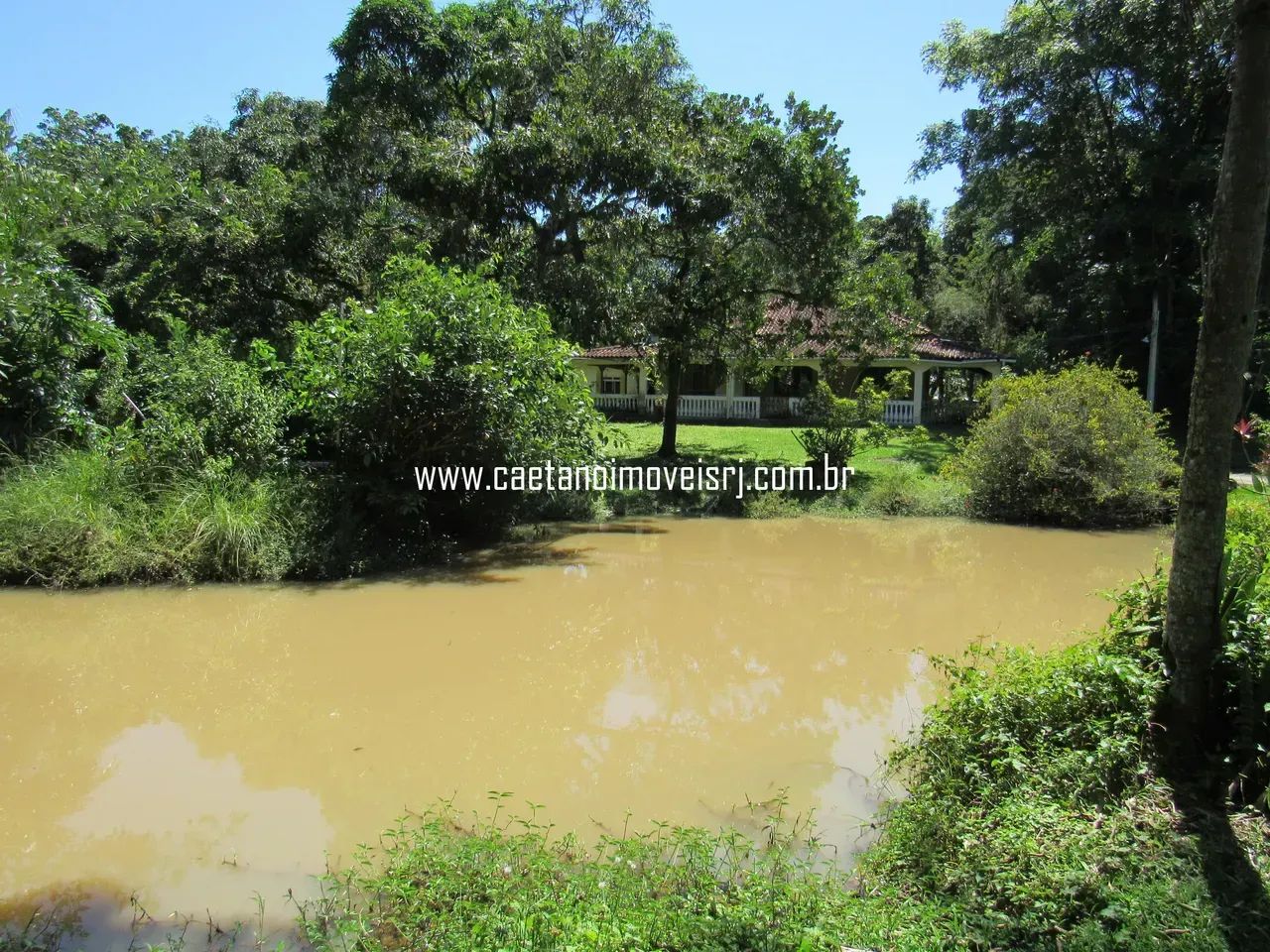 Sítio C/ Localização Nobre - Oportunidade - Foto 5