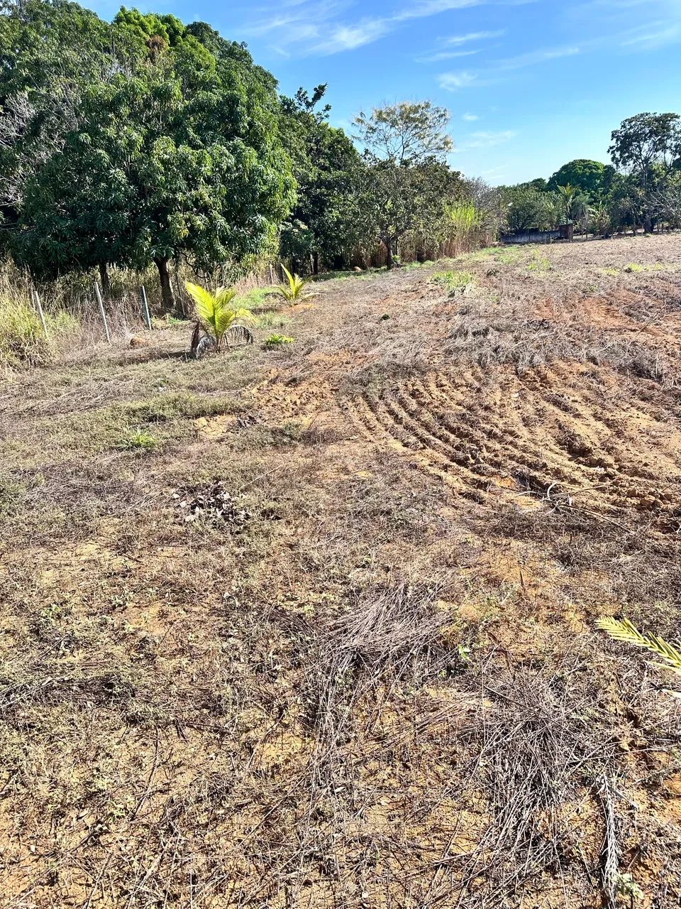 Chácara com excelente localização. - Foto 5