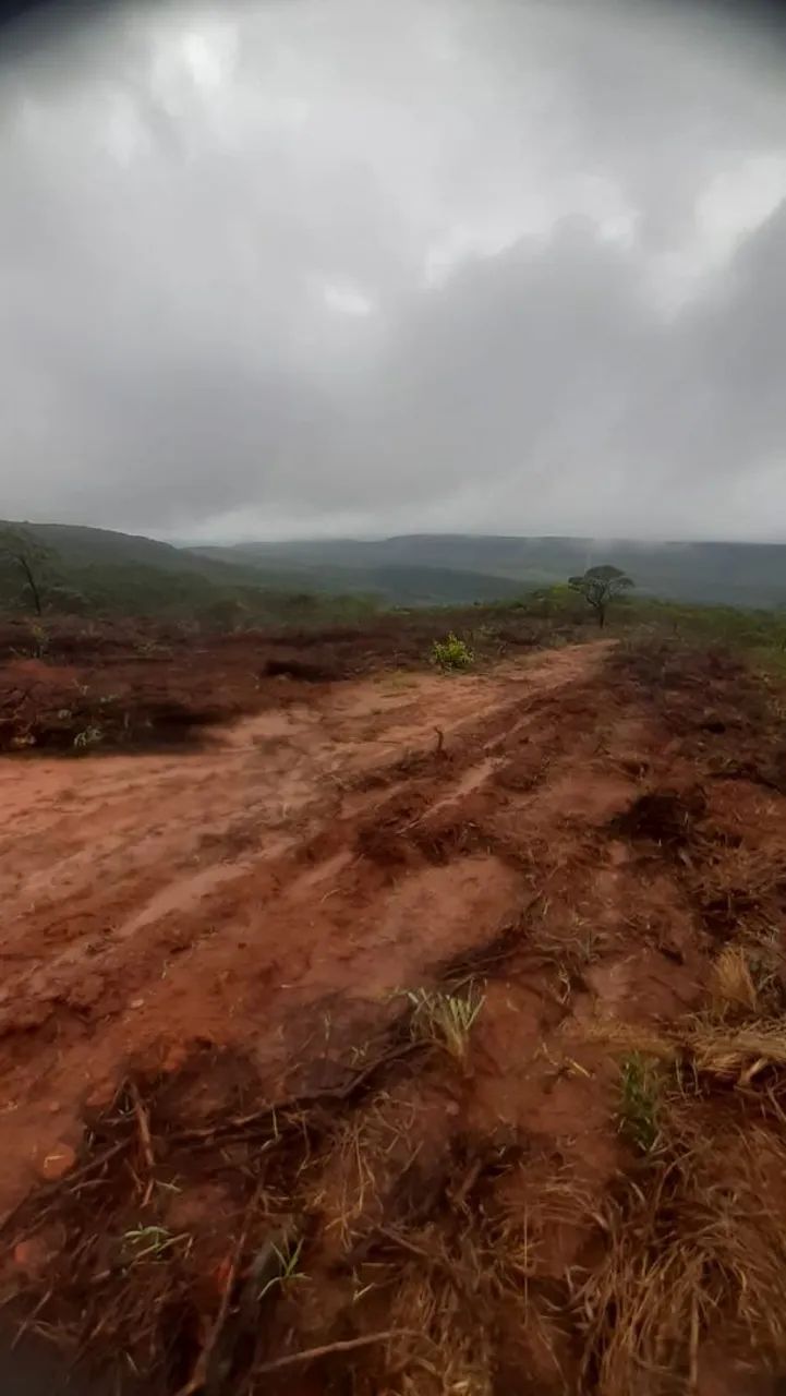 Fazenda  - Foto 2