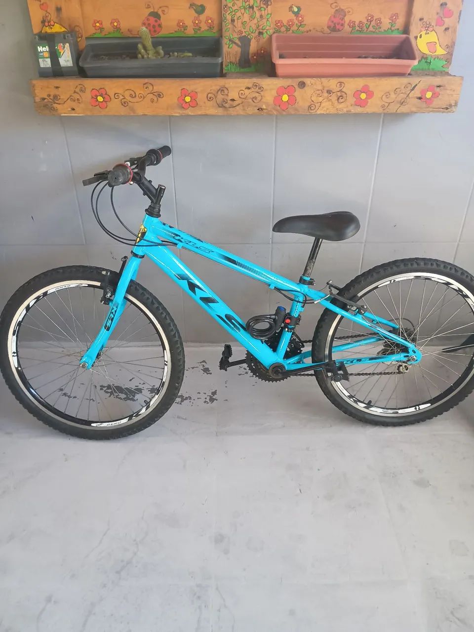 Bicicleta 