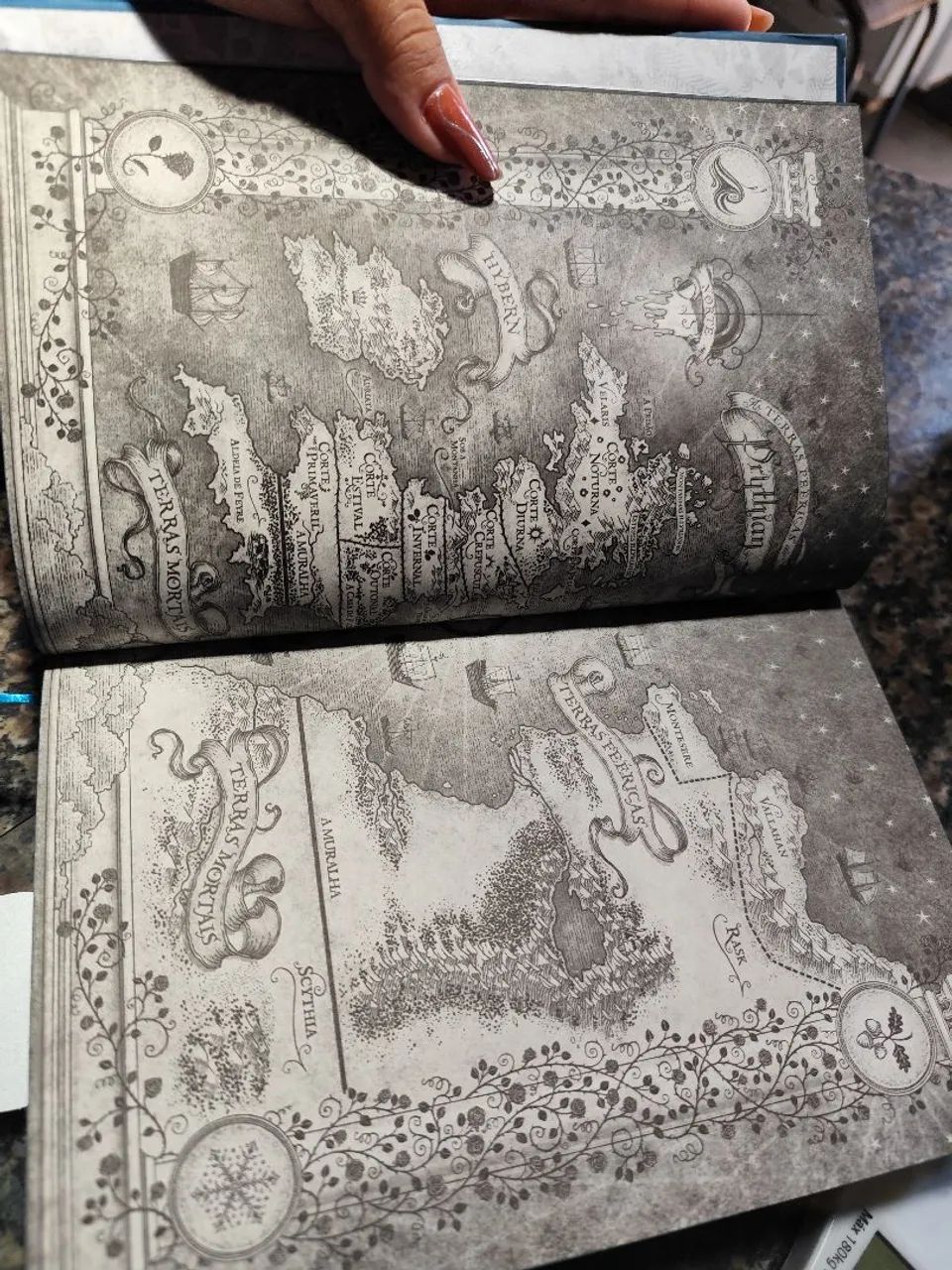 Livro  - Foto 3