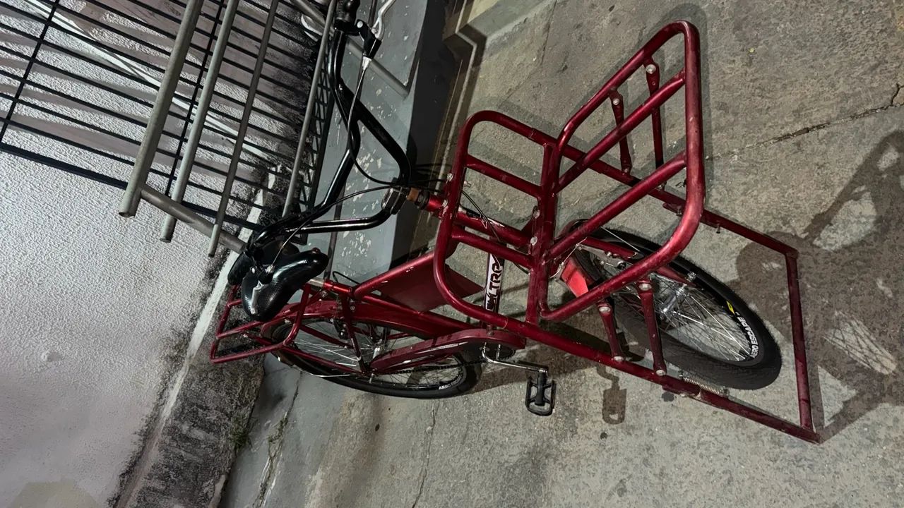 Bicicleta Cargueira - Foto 2