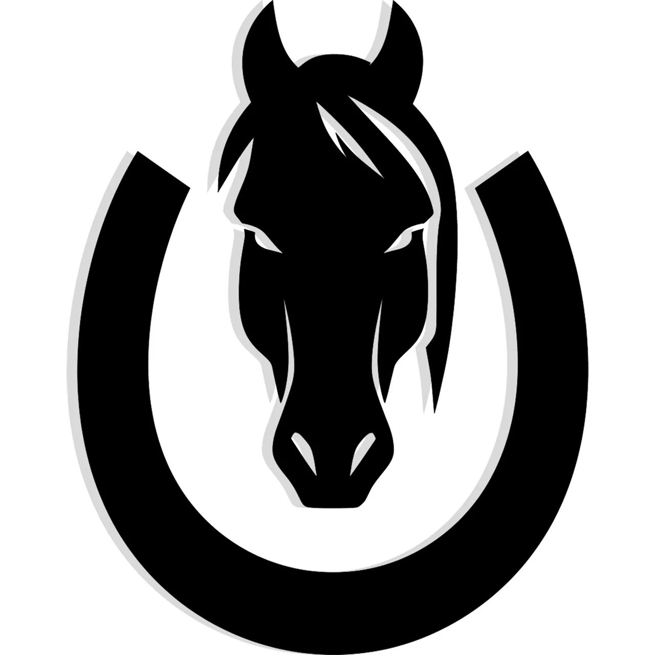 Baia pra cavalos  - Foto 3
