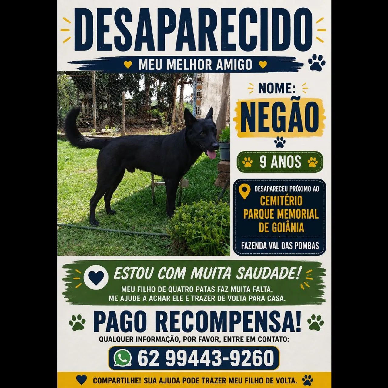 Desaparecido dou recompensa 