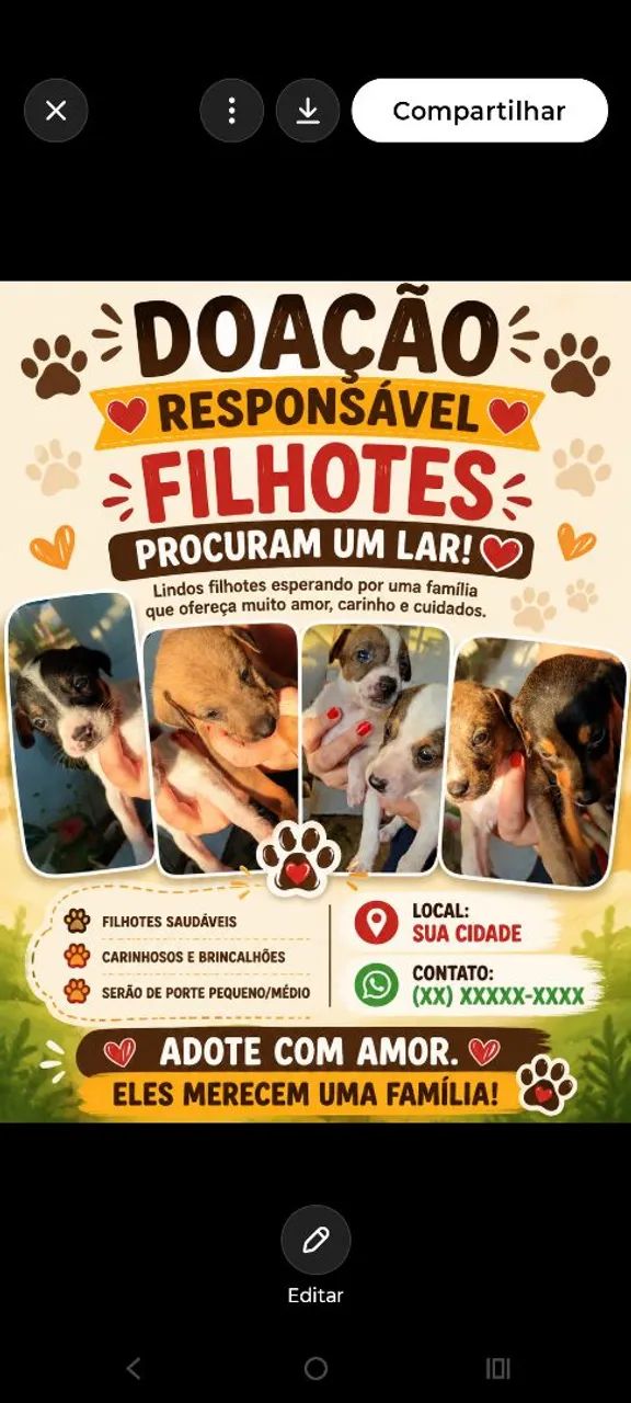 Doação responsavel