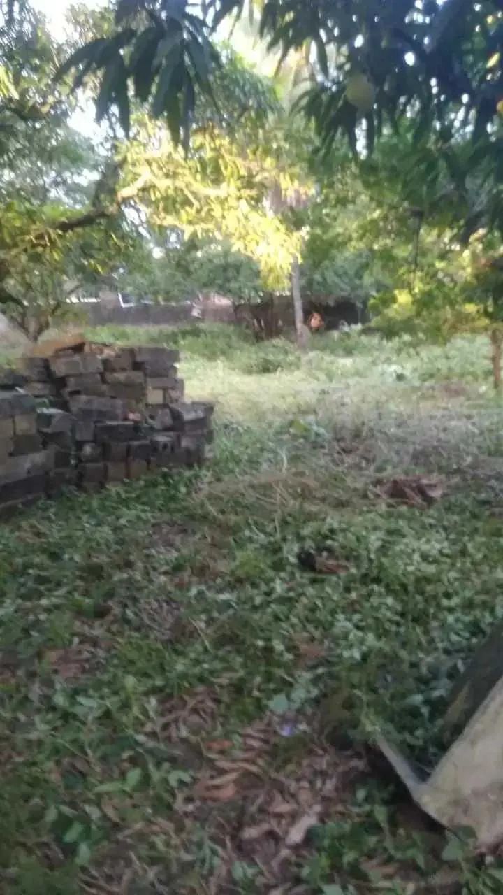 TERRENO À VENDA [13830] - Foto 4