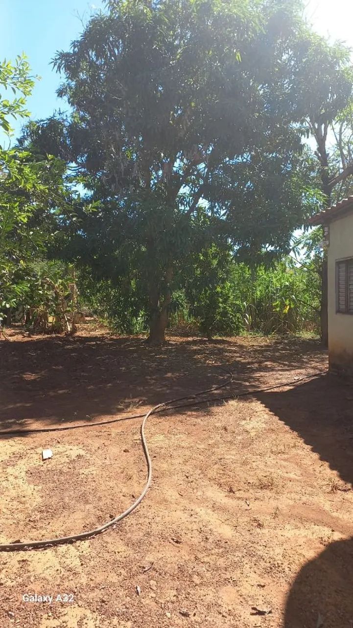 Chacara - Foto 4