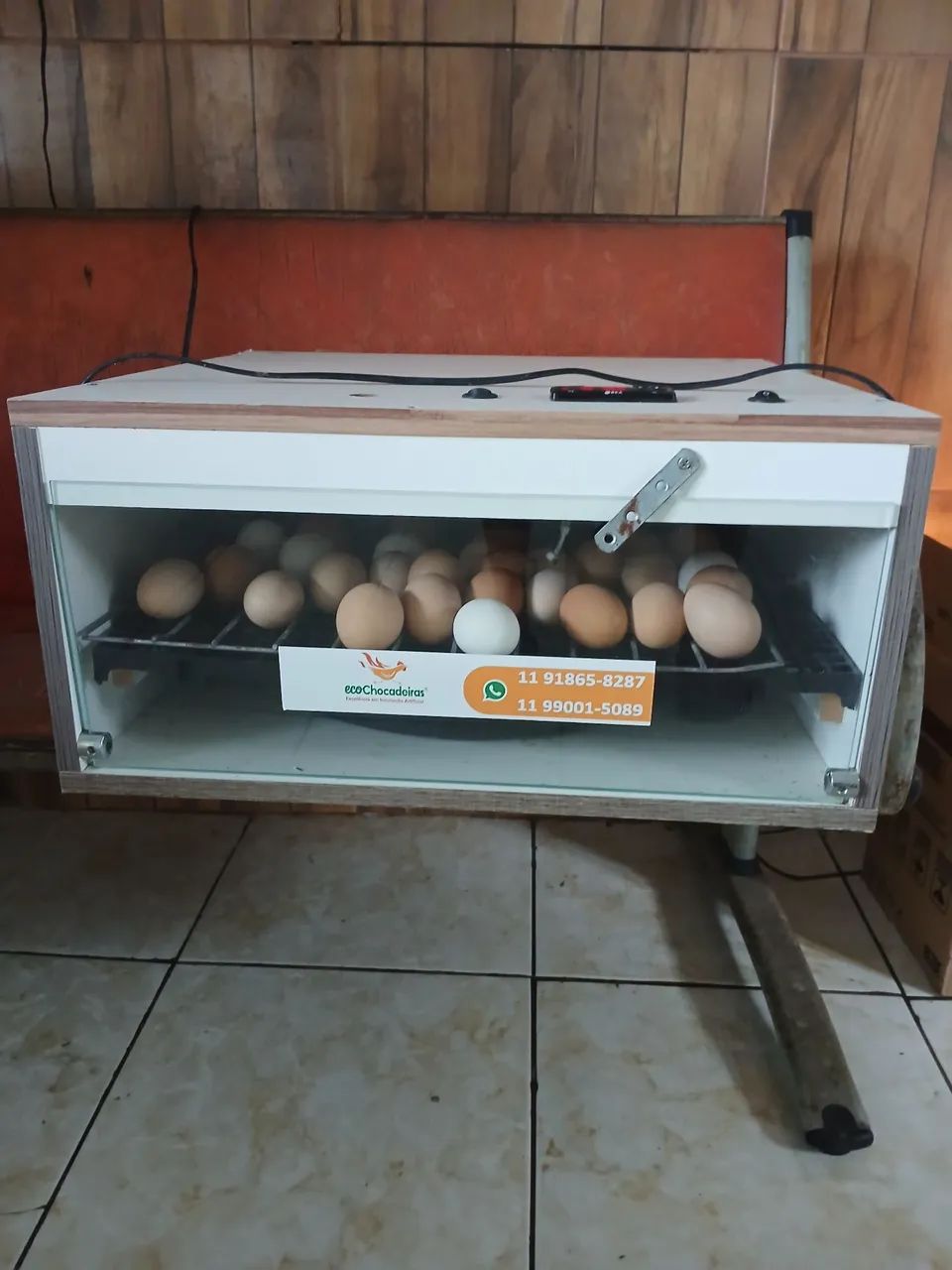 Chocadeira automática 