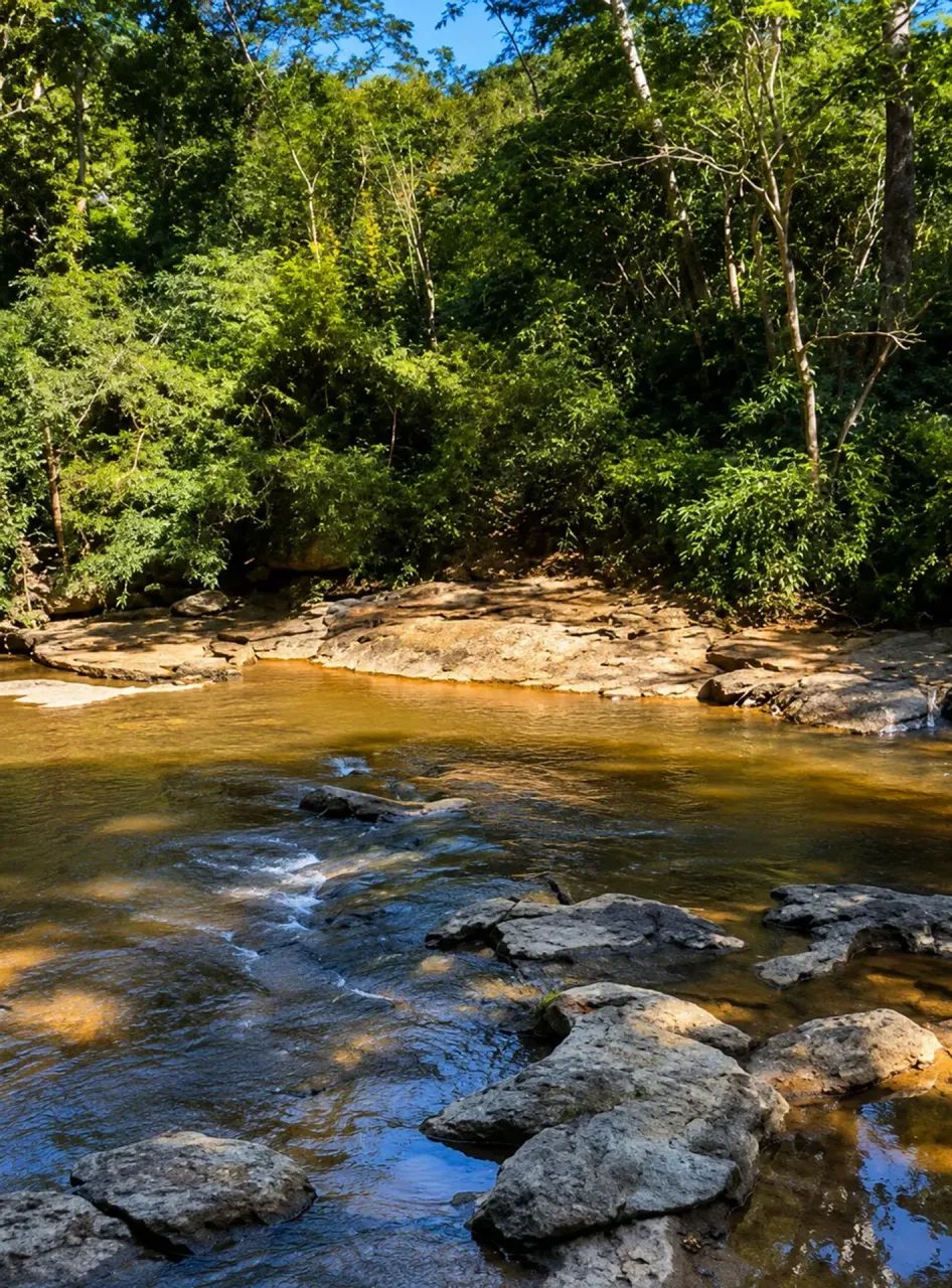 Imóvel para venda tem 4636720 metros quadrados com 10 quartos em Zona Rural - Ipameri - GO - Foto 2