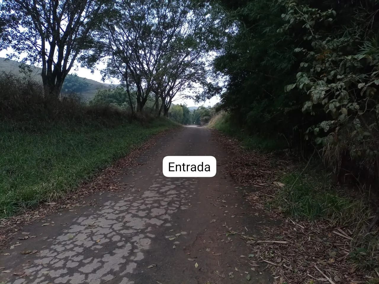 Oportunidade terreno área rural - Foto 5