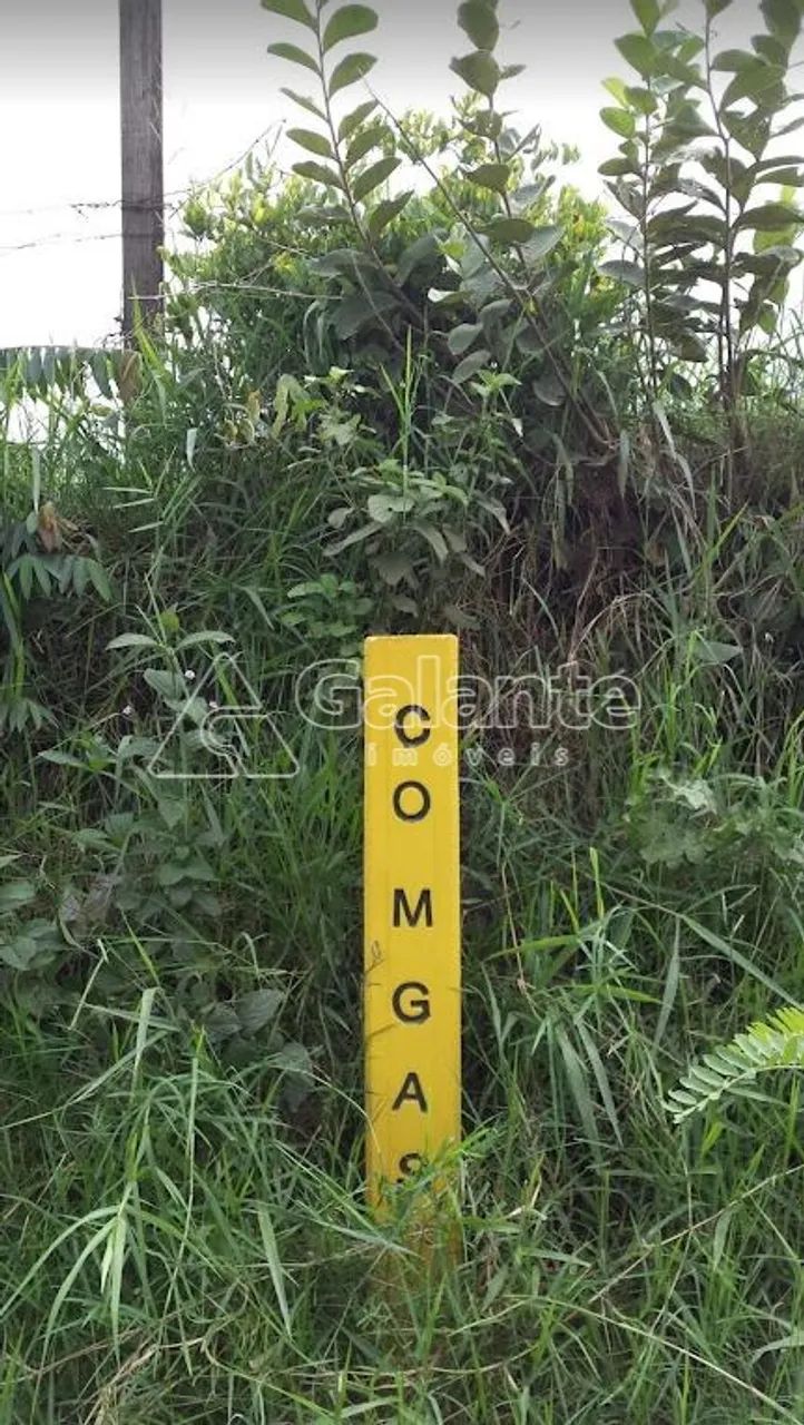 área - Residencial São Luís - Campinas - Foto 4