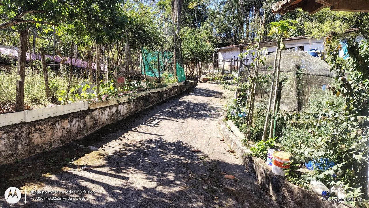 Oportunidade chácara a venda  - Foto 3