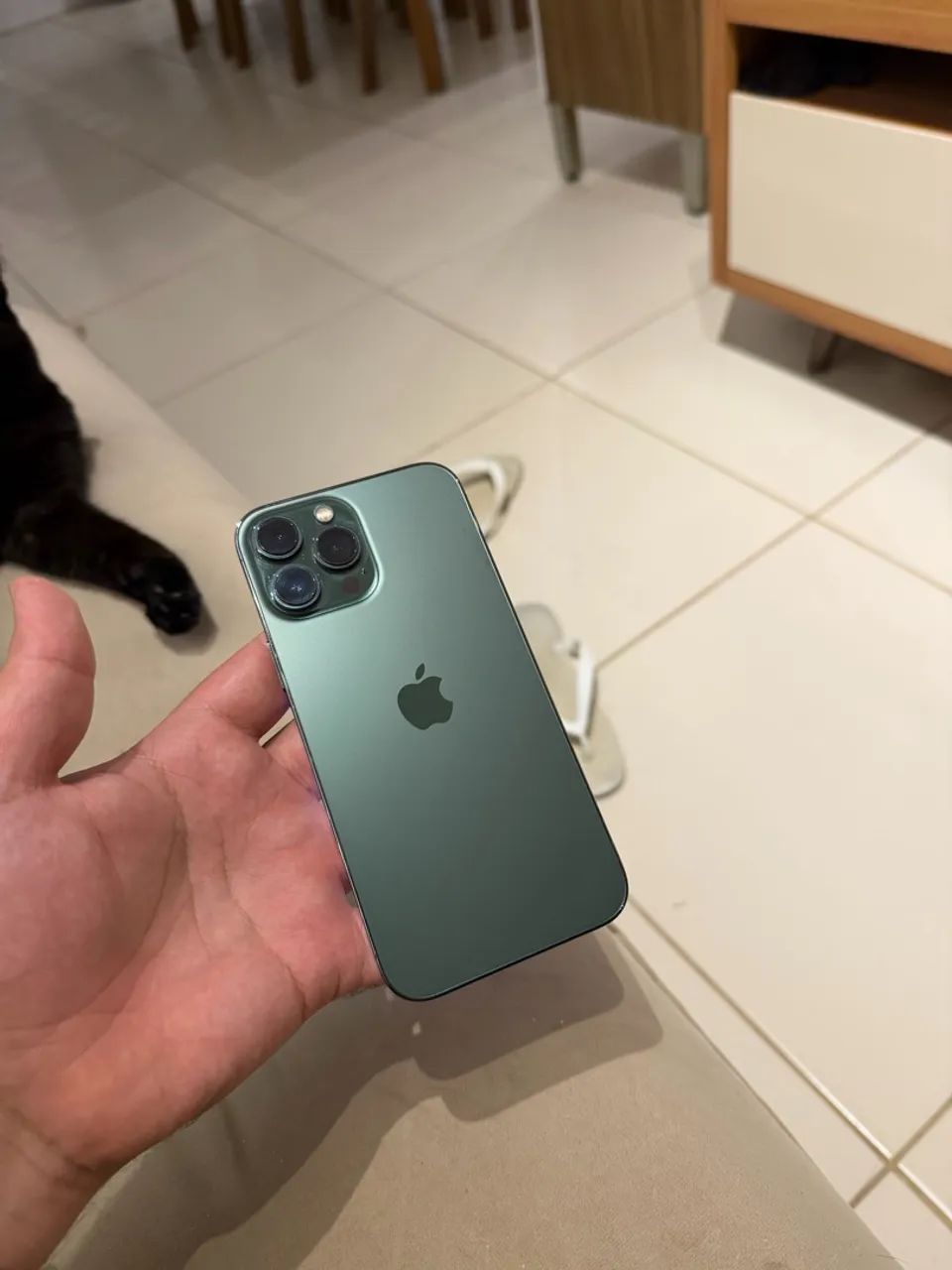 iPhone 13 Pro Max 