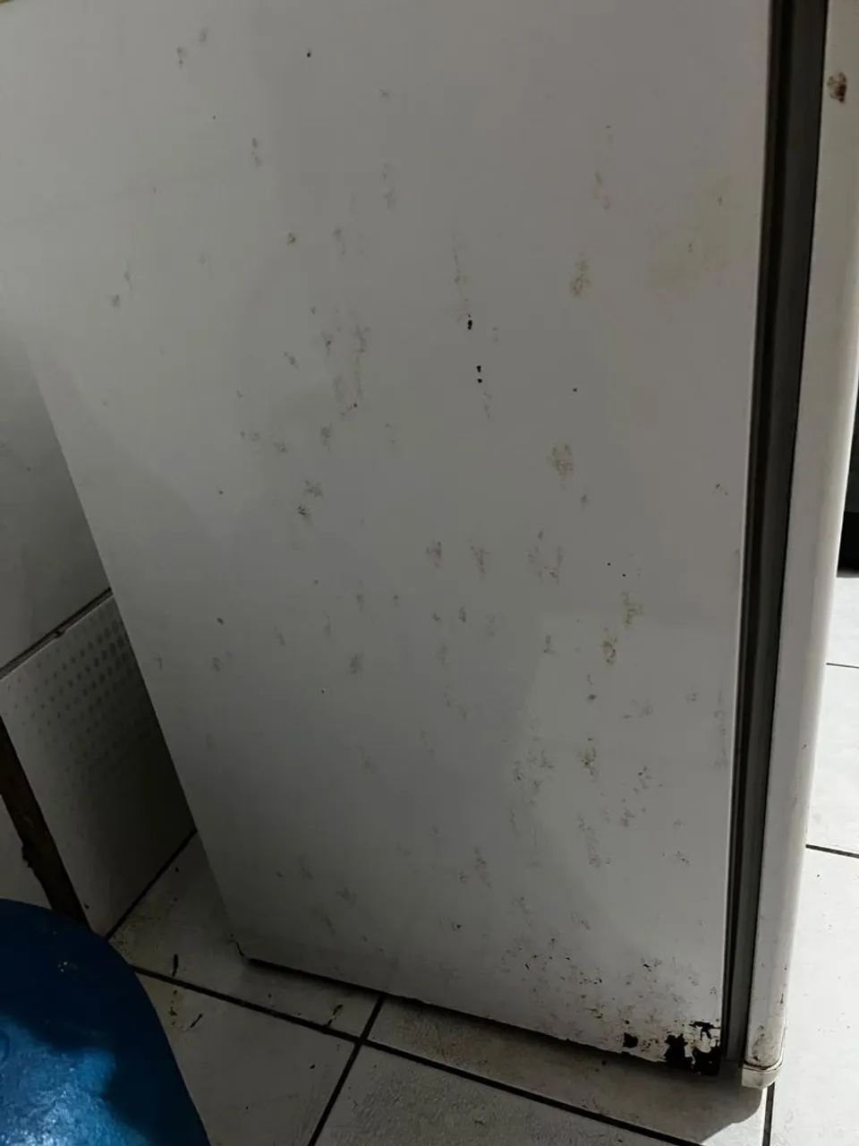  Mini freezer  - Foto 5
