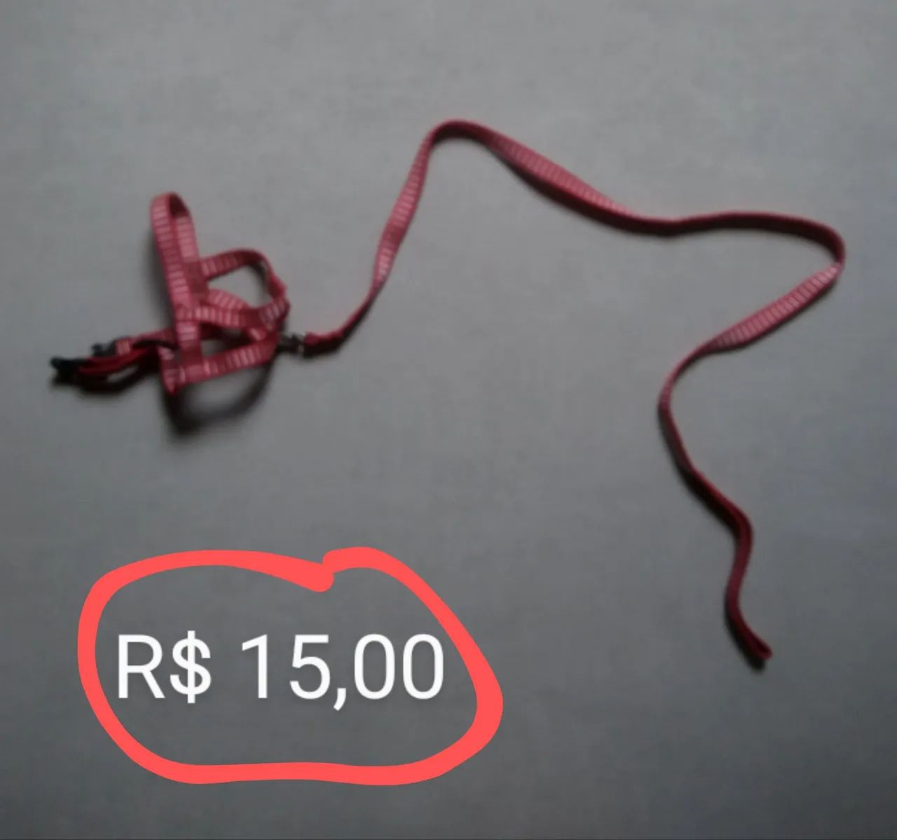 ITENS PARA CÃES E GATOS - Foto 3