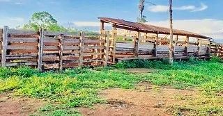 FAZENDA EM CODO - Foto 3