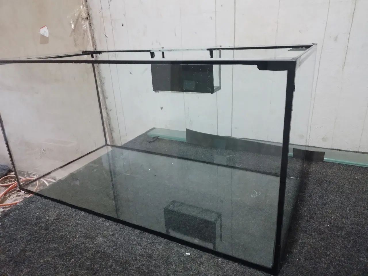 Aquário novo  - Foto 5