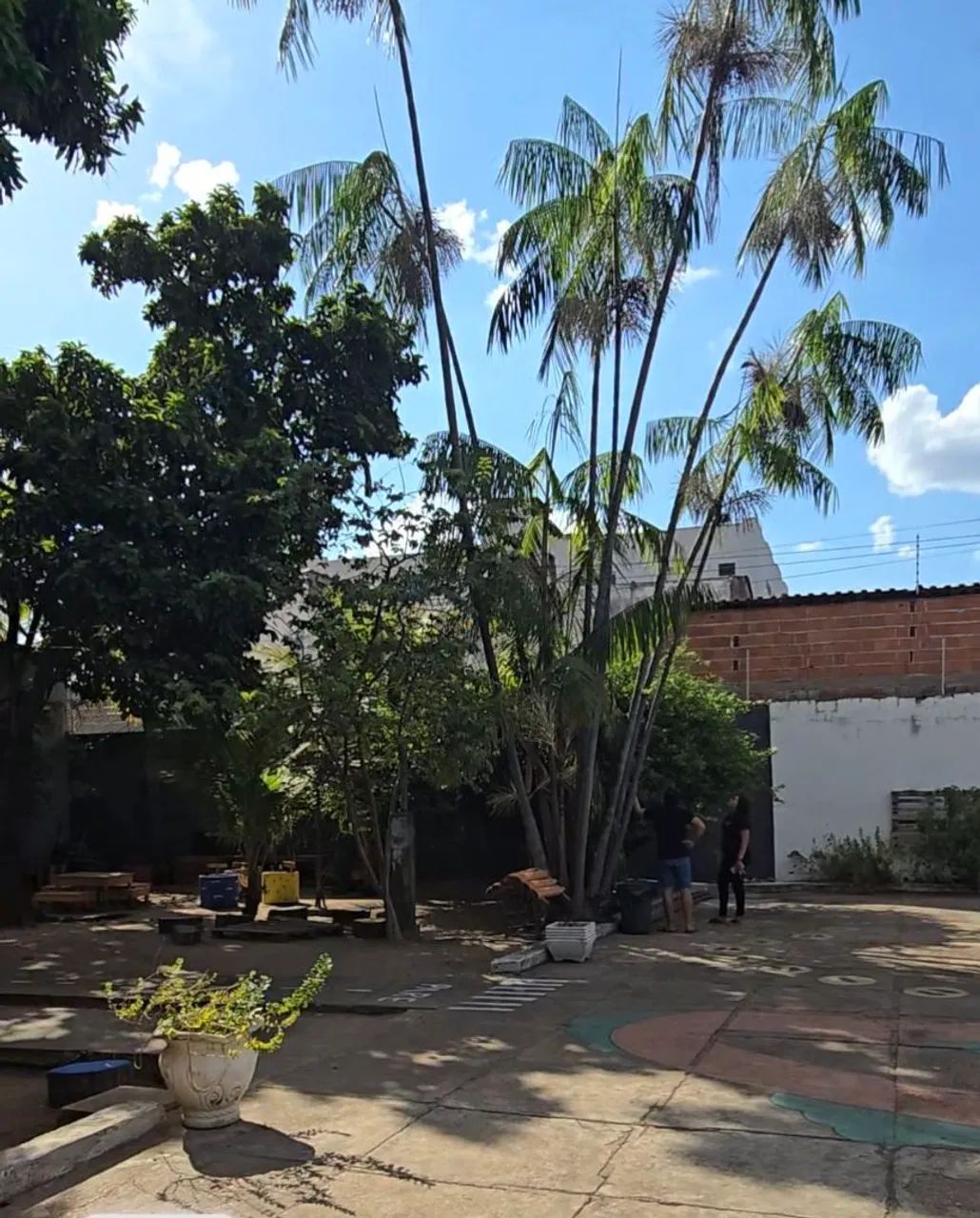 ÁREA 1.240M²  BAIRRO ENTRONCAMENTO  - Foto 4