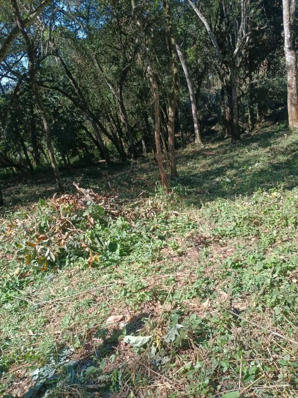 Vende-se terreno em Ibiuna  - Foto 5