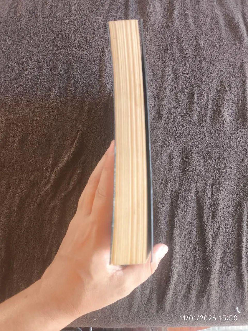 Percy Jackson e os olimpianos livro um o ladrão de raios - Foto 3