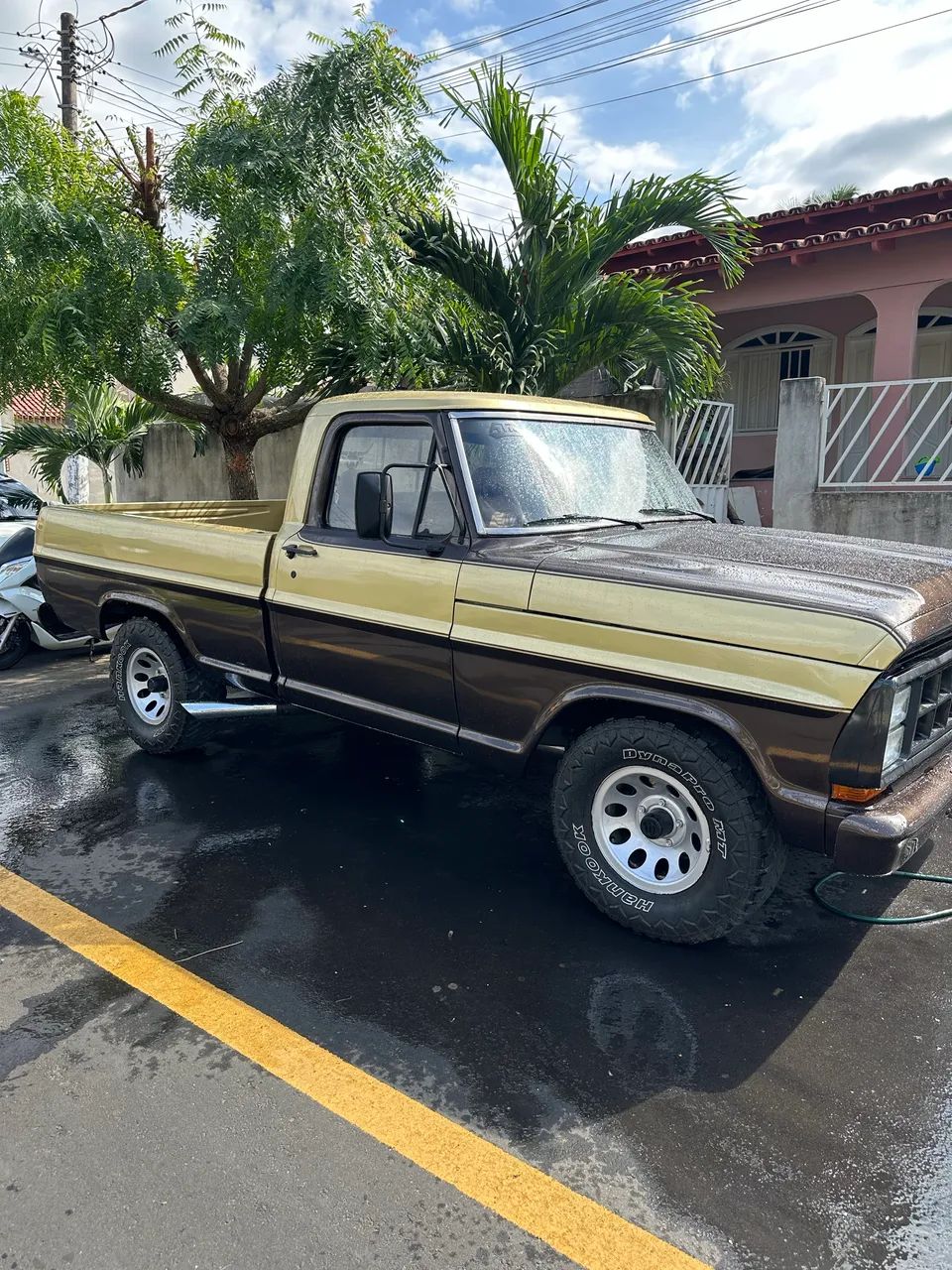 Ford F-1000 S. S. Diesel / S.s. Diesel Turbo 1985