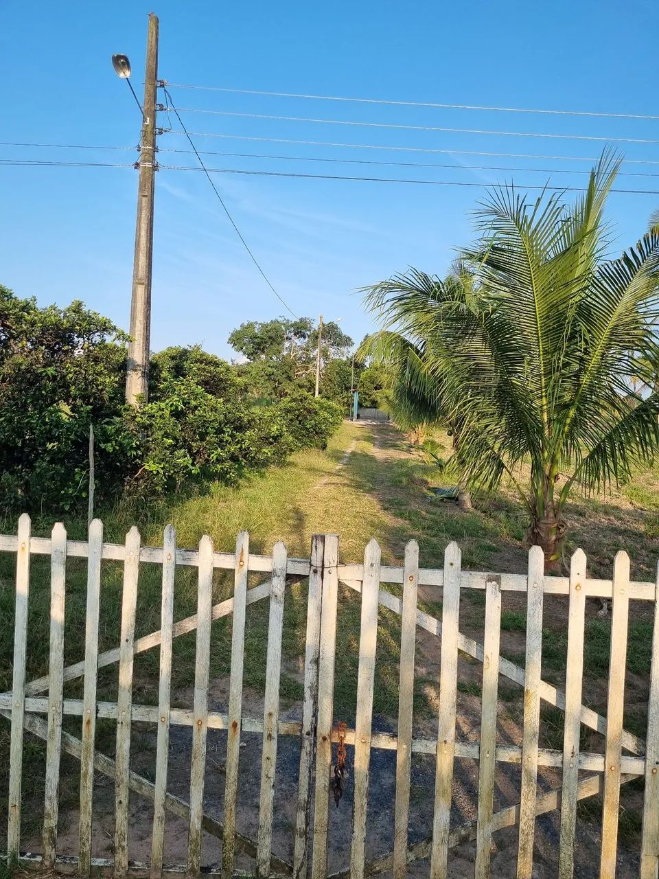 Sítio na estancinha 