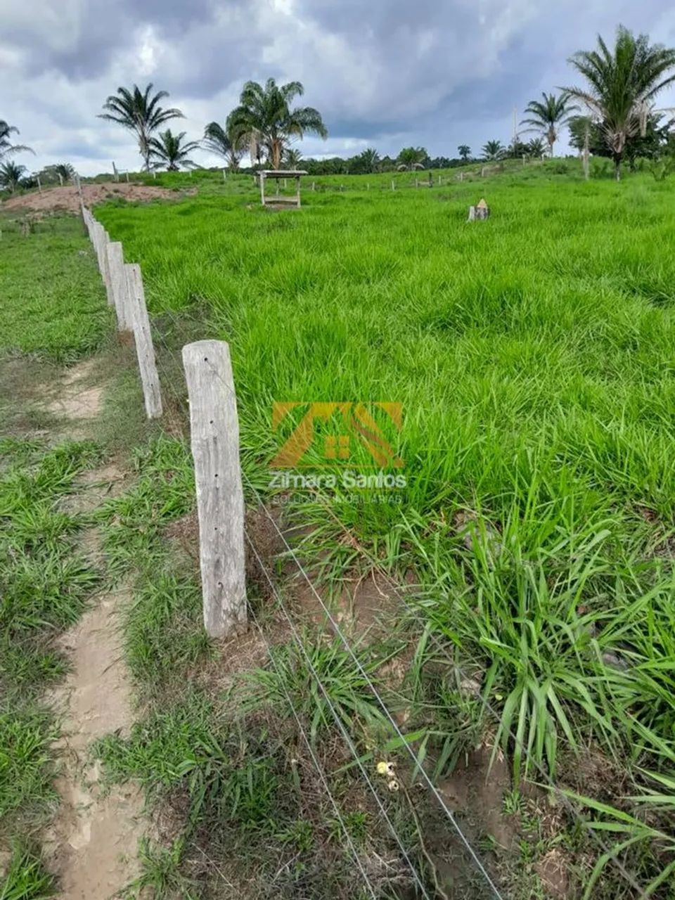 Fazenda, 62 alqueires - Piçarra/PA - Foto 2