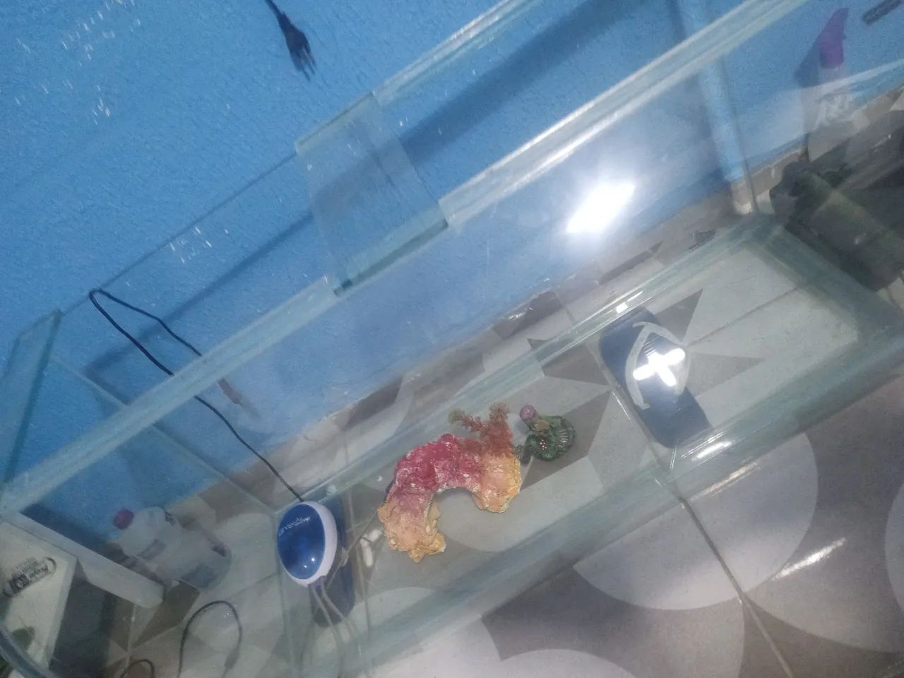 Aquário 1m x50x45 curvo $350 - Foto 3