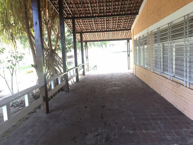 Granja pium - Foto 7
