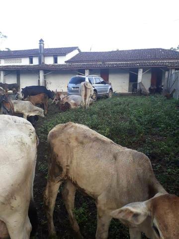Vendo fazenda boa paz costado * - Foto 3