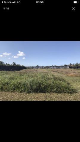 ÓTIMA OPORTUNIDADE !!!!!!!!! Praia de Catuama PE - Foto 8