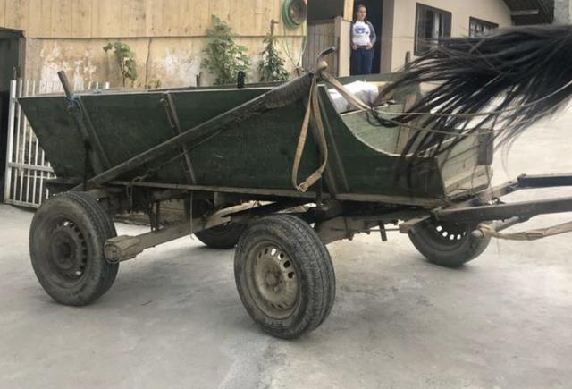 Cavalo com duas carroças + máquina de picar ração - Foto 3