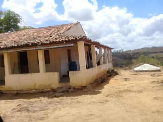 Pombos-Vend. 480 mil reais-Tem 120 Hect. Fazenda Completa,Água,Pastos, e mais - Foto 3