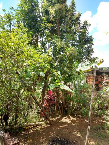 Vendo casa areia branca (jambeiro) - Foto 2