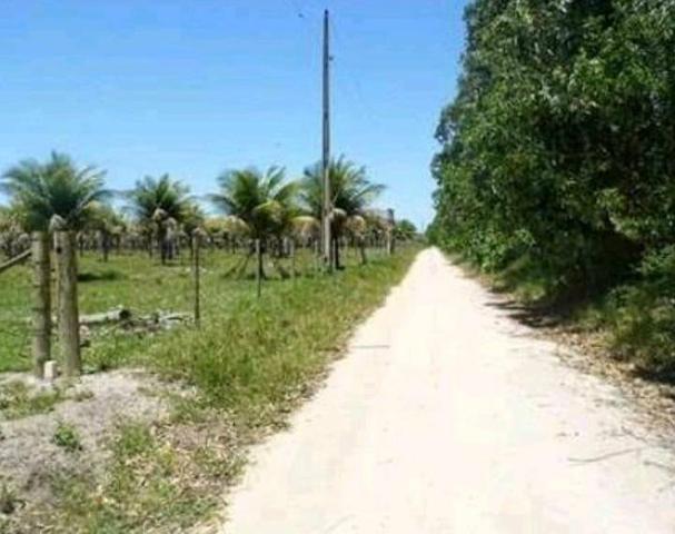 Conceição da barra