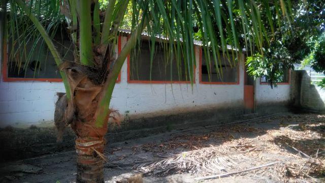 Excelente chácara medindo 26x133 em Atalaia - Foto 16