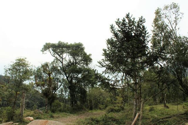 Terrenos próximo a Represa - Foto 2